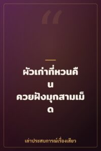 ผัวเก่าที่หวนคืน ควยฝังมุกสามเม็ด