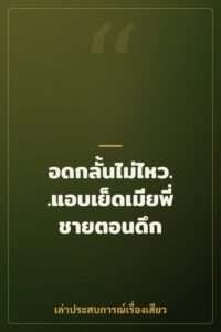 อดกลั้นไม่ไหว..แอบเย็ดเมียพี่ชายตอนดึก