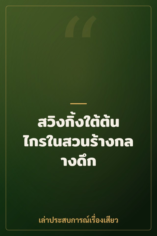 สวิงกิ้งใต้ต้นไกรในสวนร้างกลางดึก