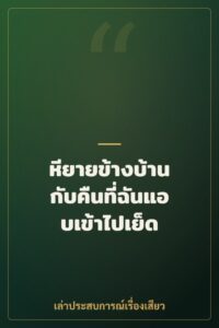 หียายข้างบ้าน กับคืนที่ฉันแอบเข้าไปเย็ด