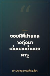 ซอยหีพี่ม่ายกลางทุ่งนา เงี่ยนจนน้ำแตกคารู
