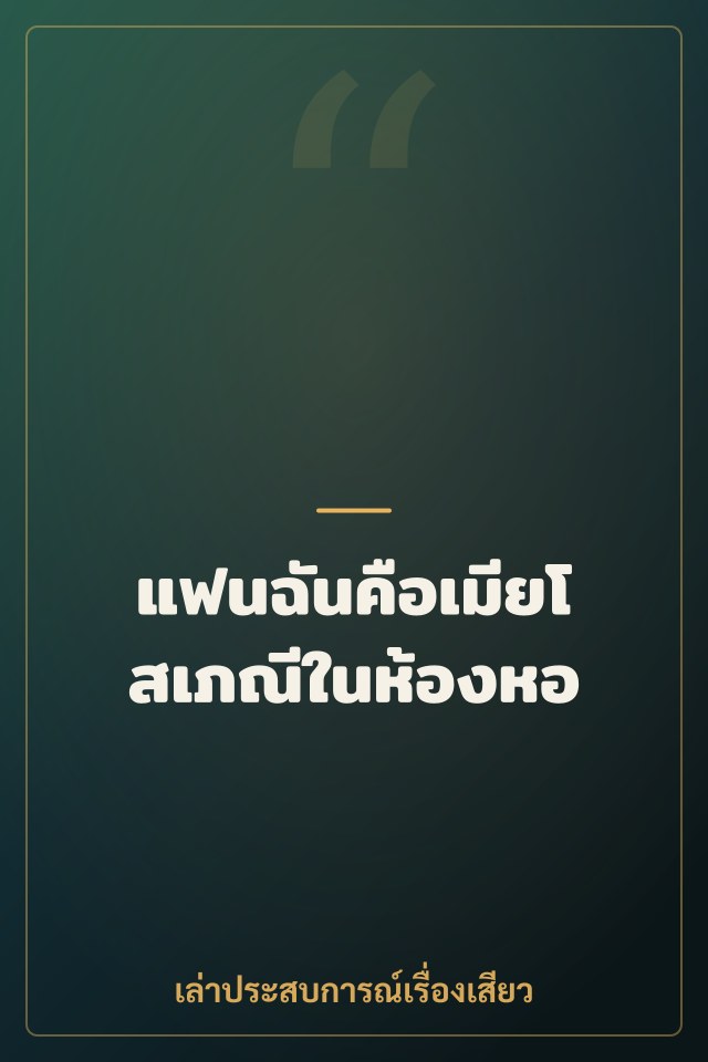 แฟนฉันคือเมียโสเภณีในห้องหอ