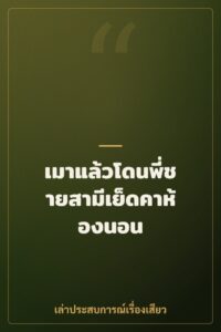 เมาแล้วโดนพี่ชายสามีเย็ดคาห้องนอน