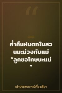 ค่ำคืนฝนตกในสวนมะม่วงกับแม่ “ลูกขอโทษนะแม่”