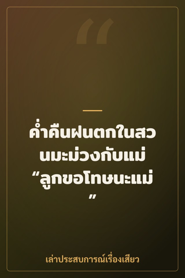 ค่ำคืนฝนตกในสวนมะม่วงกับแม่ “ลูกขอโทษนะแม่”