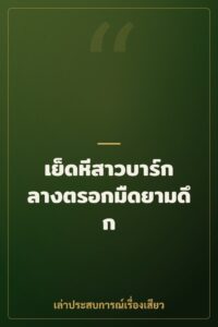 เย็ดหีสาวบาร์กลางตรอกมืดยามดึก